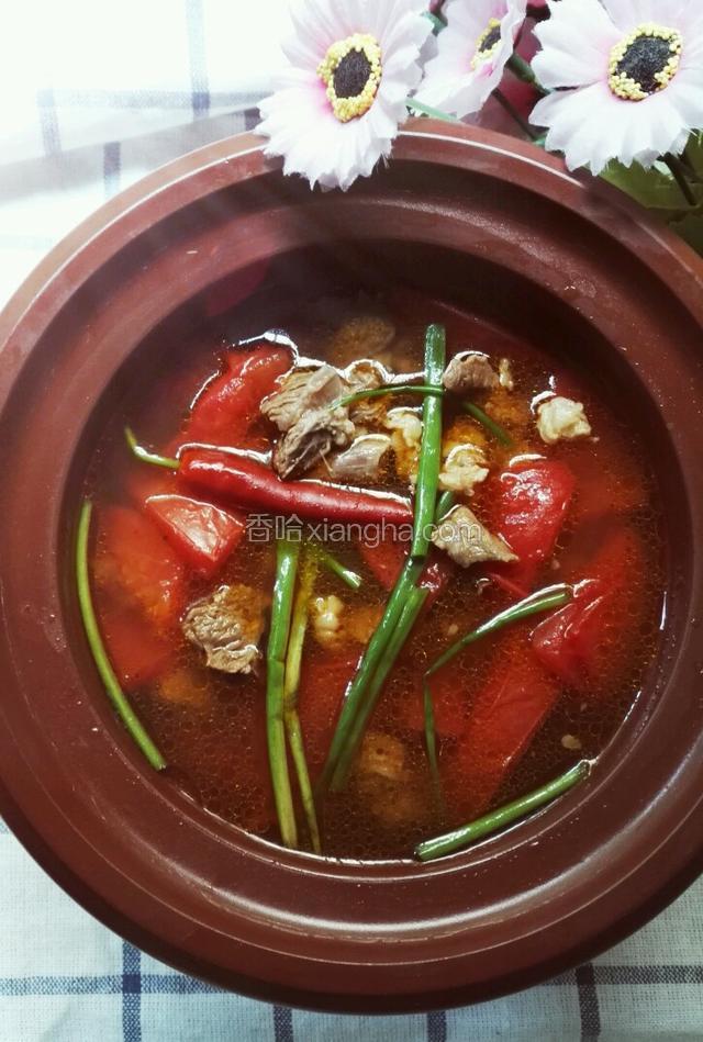 番茄牛腩煲