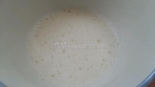 两个蛋清用打蛋器打出泡泡！