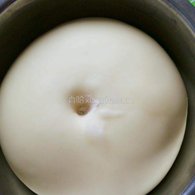 发酵至2～3倍大