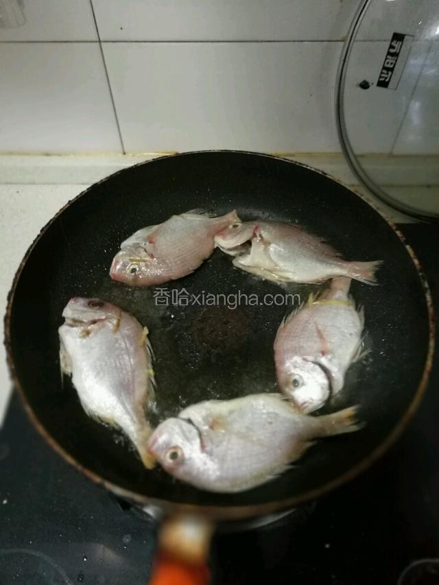 锅里倒入一些食物油，开大火把油加热，油稍微冒点烟的时候把鱼丢进去，记住煎鱼一定要用大火。