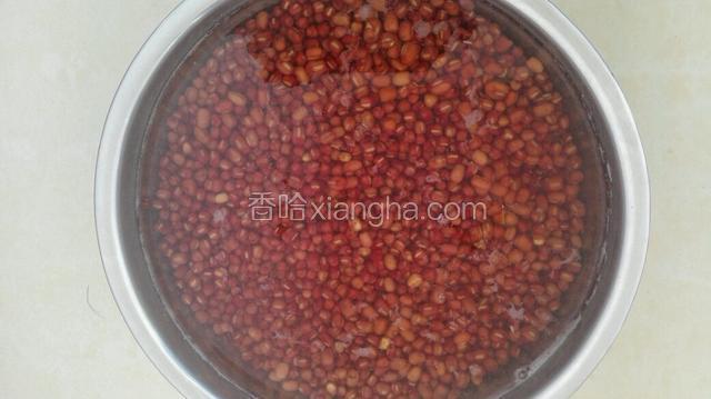 红豆放入大的容器多放一些水泡至一晚！