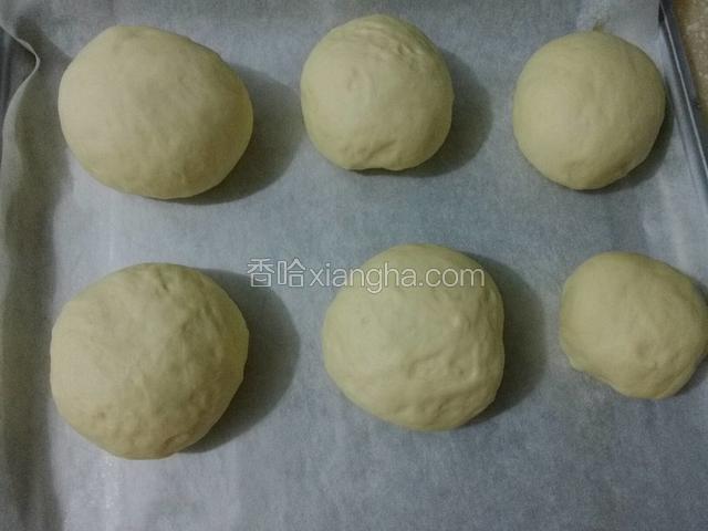 烤盘放油纸，把揉好的面团放入烤盘。