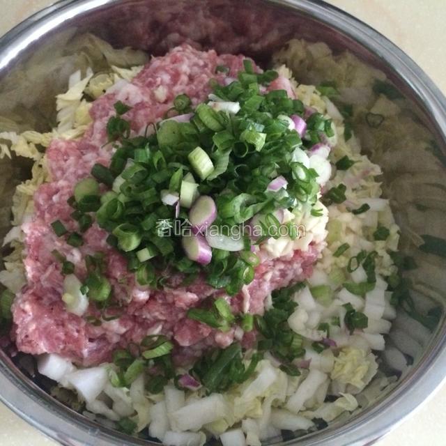大白菜碎、猪肉末加在一起，再加蒜容、葱花、适量的盐、糖、生粉和花生油，用手抓匀腌制片刻备用。