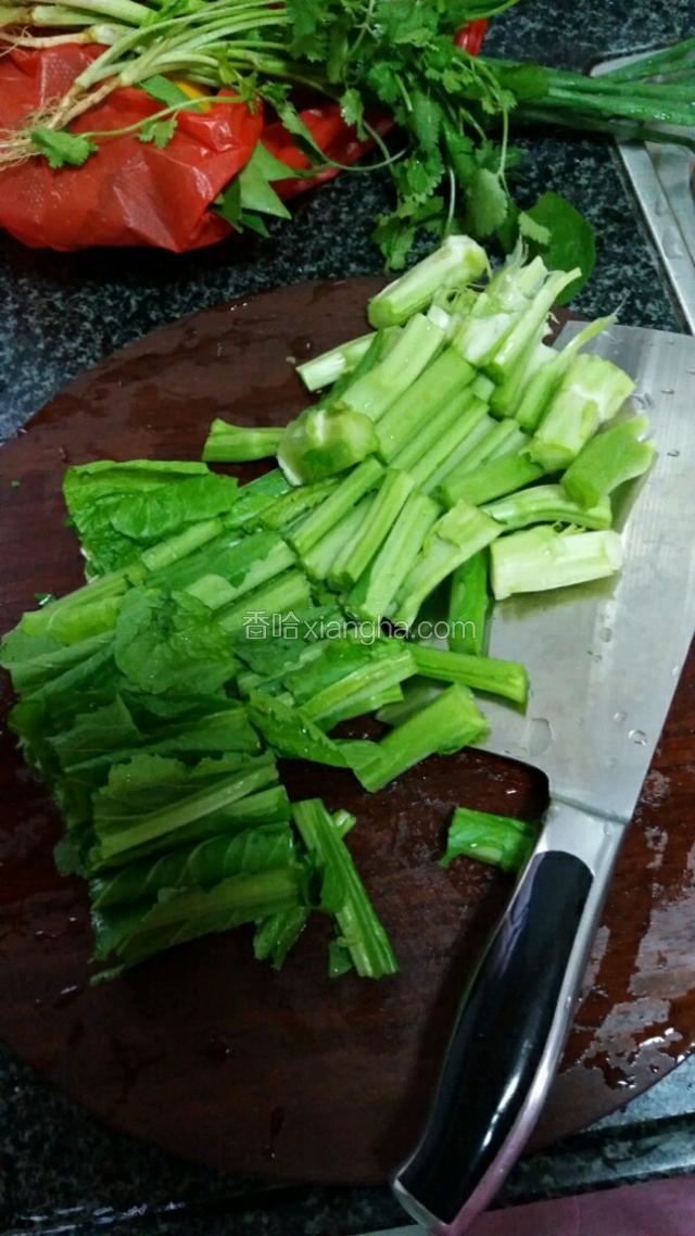 春菜切段