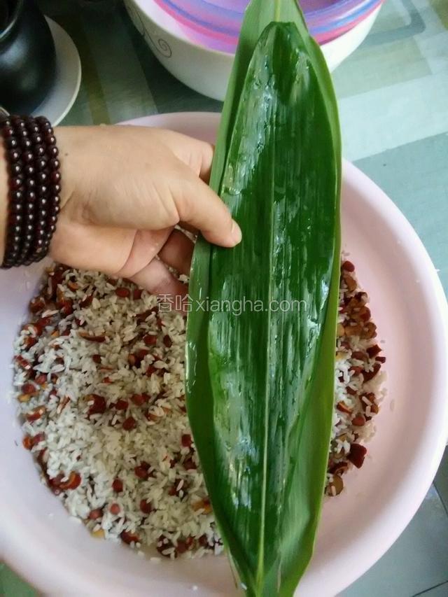 将叶子背靠背放好