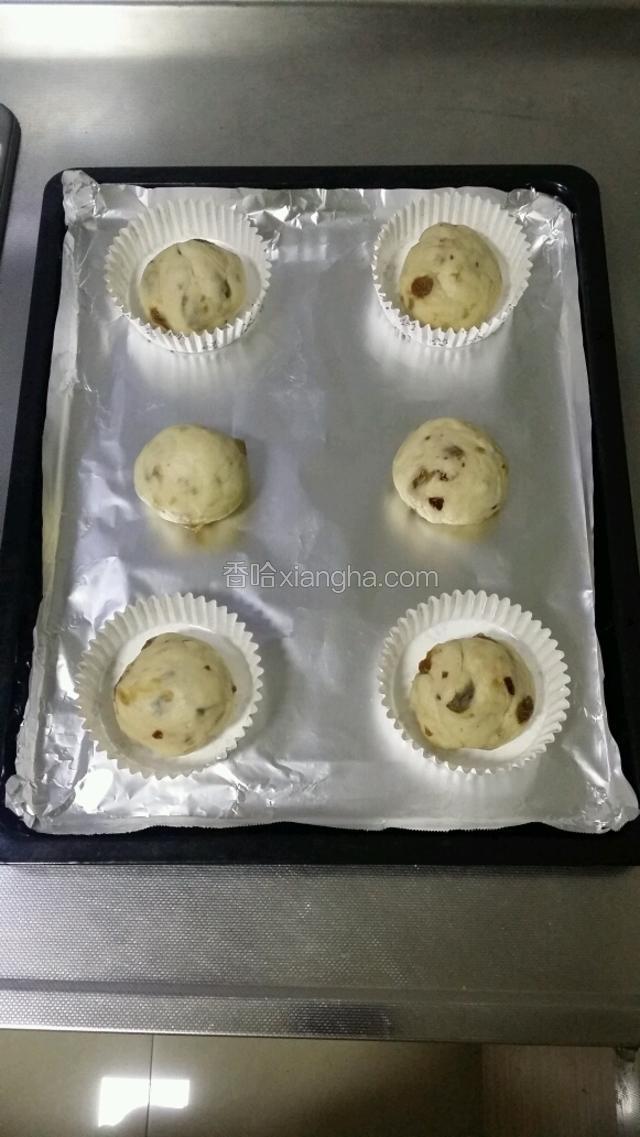 面团放入小号的圆形面包纸模中，没有的话直接放在铺了锡纸（或油纸）的烤盘中。