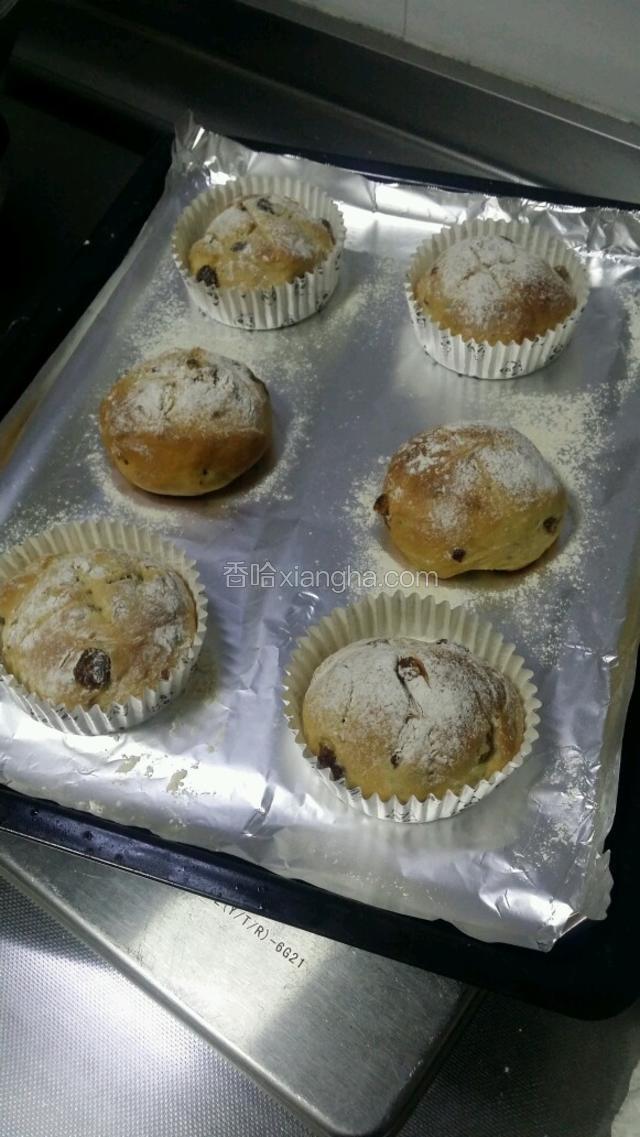 小巧、迷你、健康的葡萄干蔓越莓软欧喷香出炉。