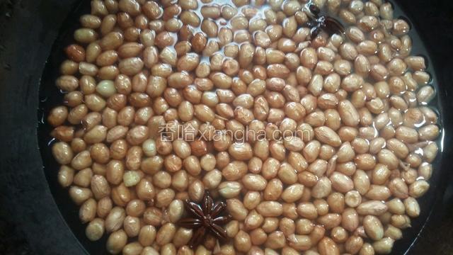 把泡好的花生米水分沥干，再次换水加适量的盐倒入锅内·中火煮约十分钟