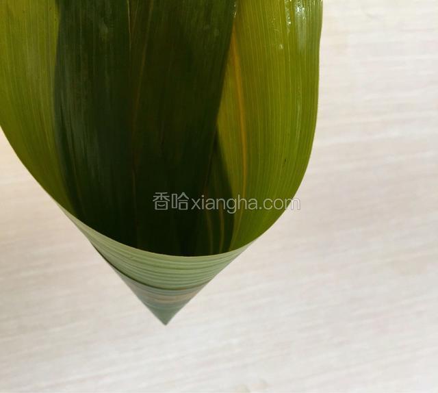 煮好的芦苇叶头尾相对
手握芦苇叶两边从中间折成三角漏斗状
