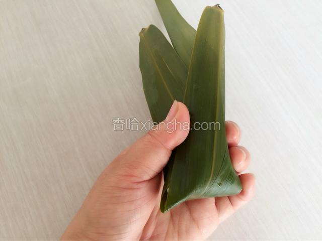 右手将芦苇叶折下来盖在上面，用左手捏紧，将多余的糯米抖落，包好的粽子不能有糯米露出来哦
