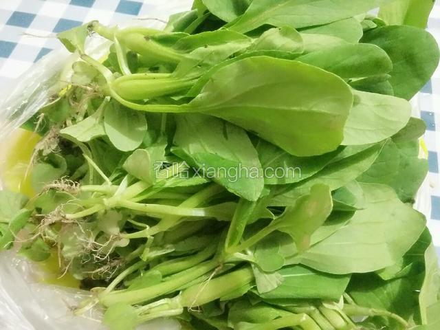 最近菜场来买到这种带根的鸡毛菜，比较新鲜，至少这样没泡过水；