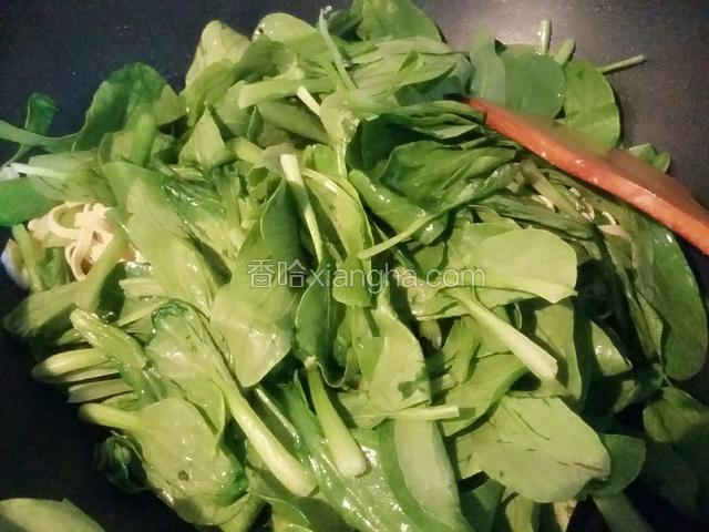 倒入洗净的鸡毛菜继续翻炒；