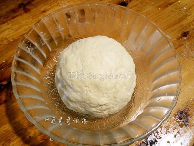 将中种材料加入盆中揉至均匀成团，盖保鲜膜放入冰箱冷藏发酵17-24小时。（中种的放料顺序为牛奶―酵母，化开后再加其他材料混合均匀。）