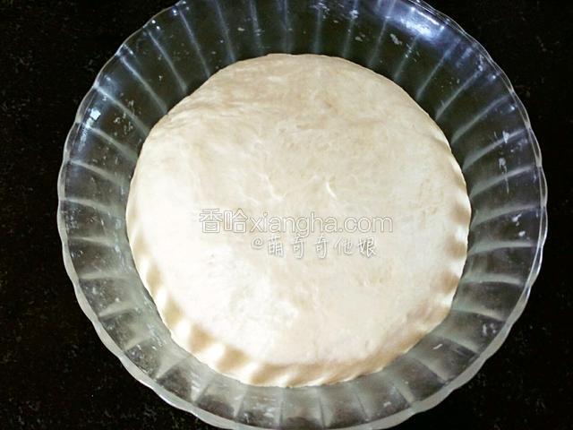 至面团发酵到2.5倍大，拉开内部呈蜂窝空洞状。