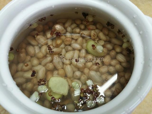 准备个砂锅把把泡好的花生粒捞出沥干水分，把花生、花椒、桂皮、姜片、等全放入，加入适量的水。用大火煮开后，盖上盖子，改用小火煮至熟透，加入盐调味即可。