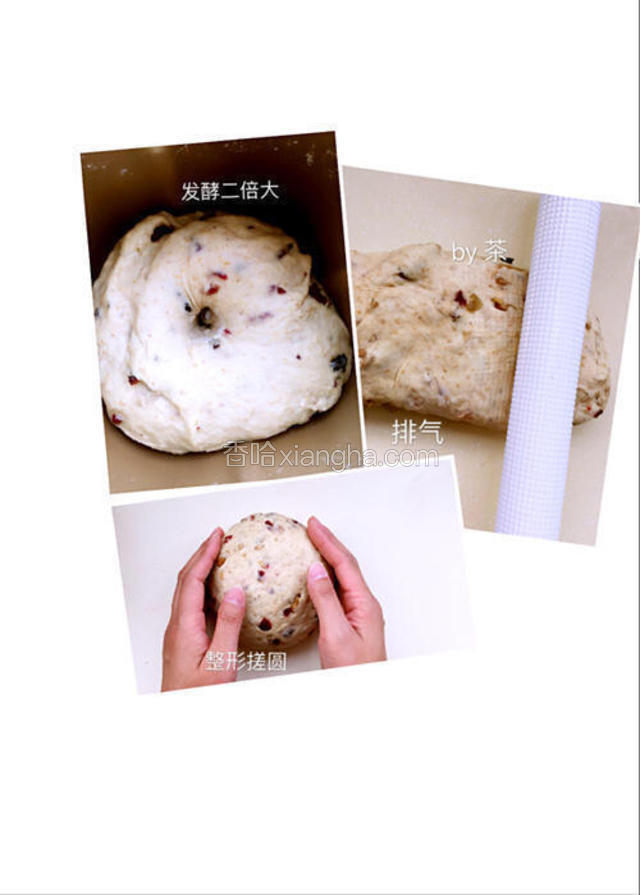 放入面包机发酵至二倍大或着盖上保鲜膜发酵至二倍大取出面团排气双手搓至圆形
