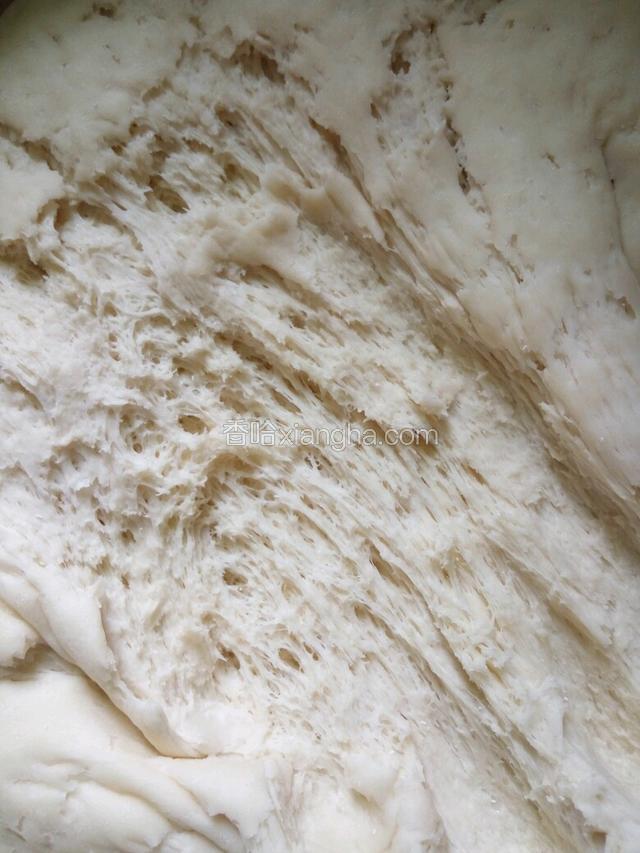 发酵到有蜂窝状就可以了