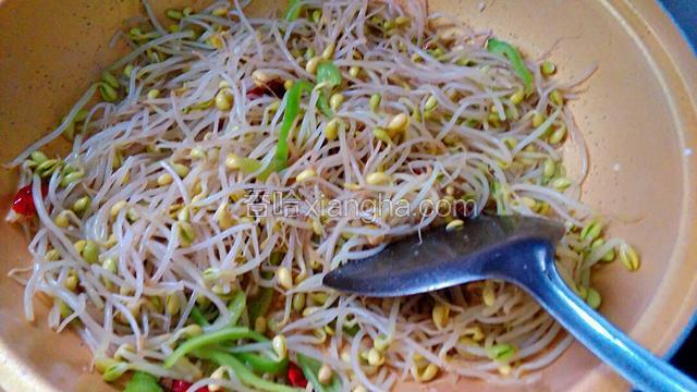 给黄豆芽大火炒匀，给盐、香醋、鸡精。