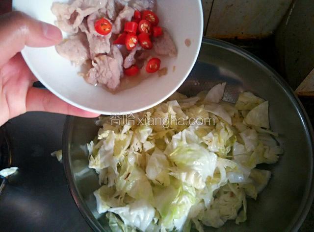 包菜加适量水 再入刚才的瘦肉和红椒也一并倒入包菜一起翻炒