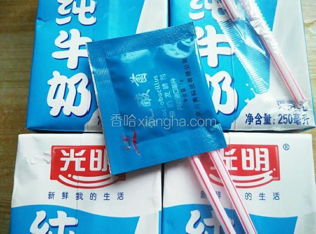 准备好纯手奶和乳酸菌粉