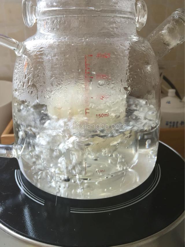 燕窝和雪梨放入炖壶内加纯净水开始炖煮