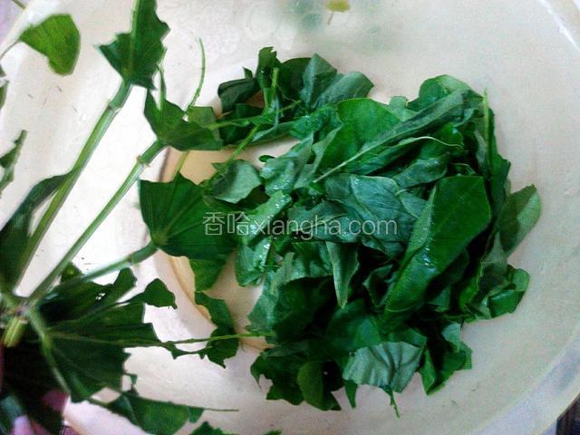 豆角叶、撕叶不要筋