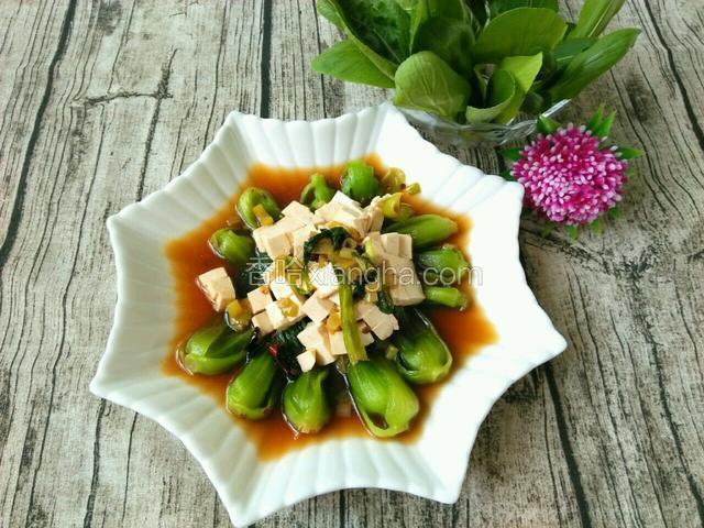 油菜豆腐约会