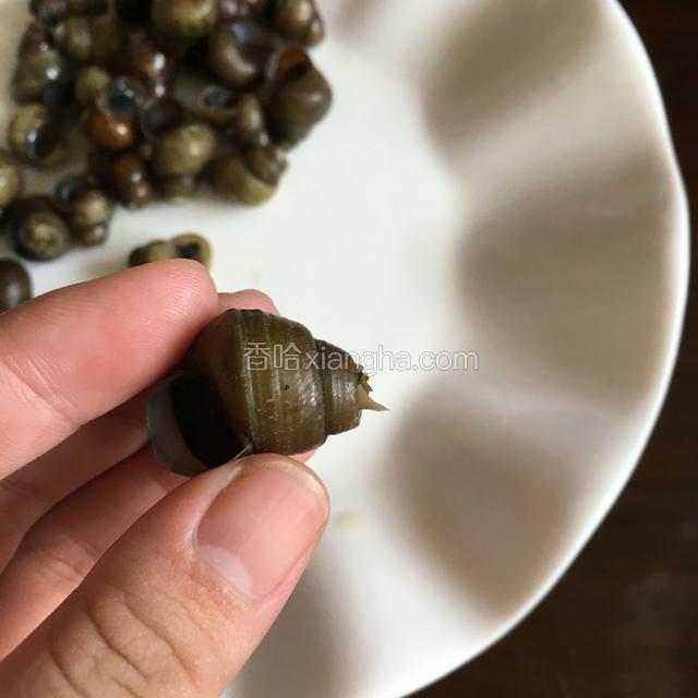 用剪刀把尾部剪断