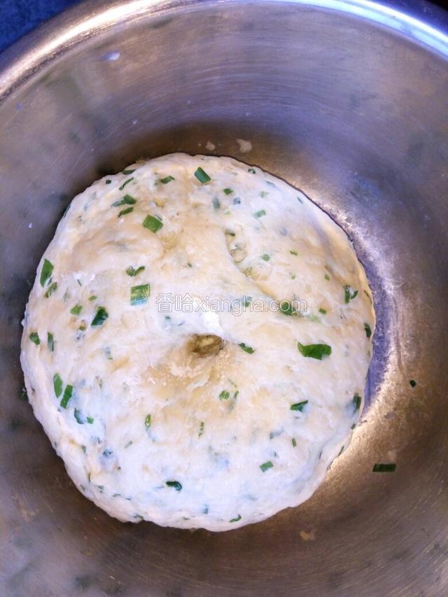 这是发酵好的图
