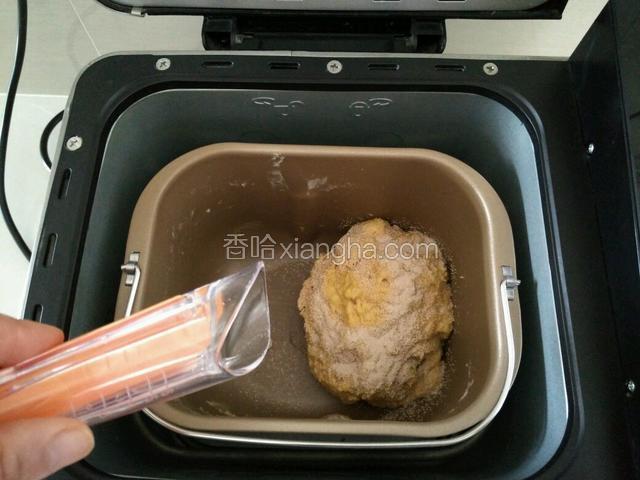 放入酵母粉，再次启动揉面键，揉10分钟