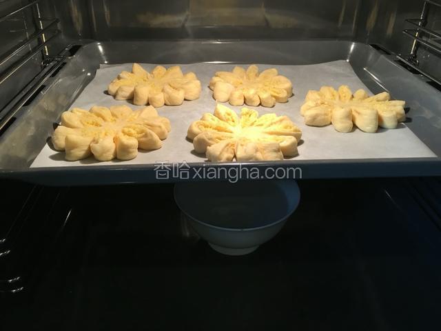 依次做好5个花形椰蓉面包。放入烤箱，烤盘下面放一大碗热水，关烤箱门，二次发酵1小时。