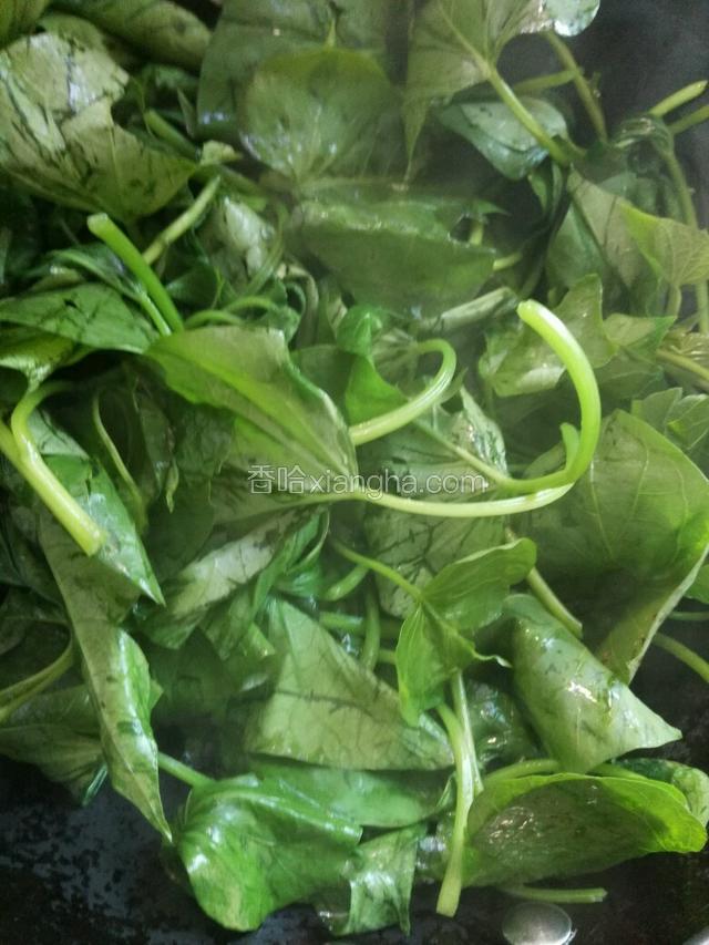 锅里热油，爆香蒜末
放入红薯叶