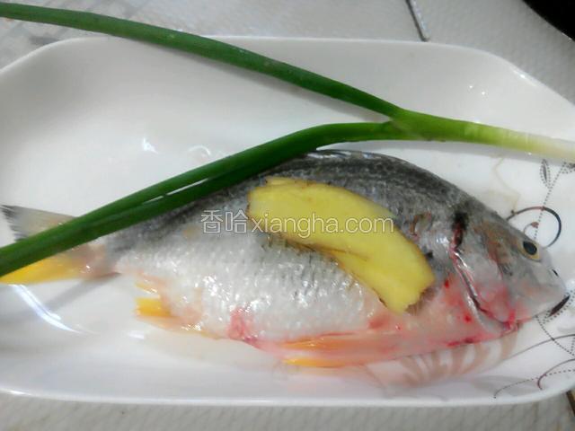 准备好食物，