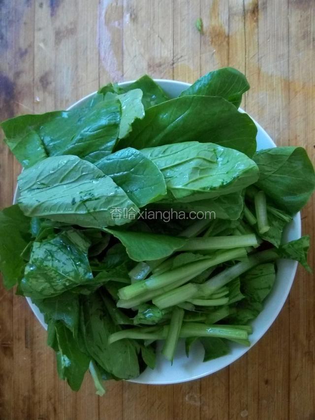 青菜洗净切成小段备用