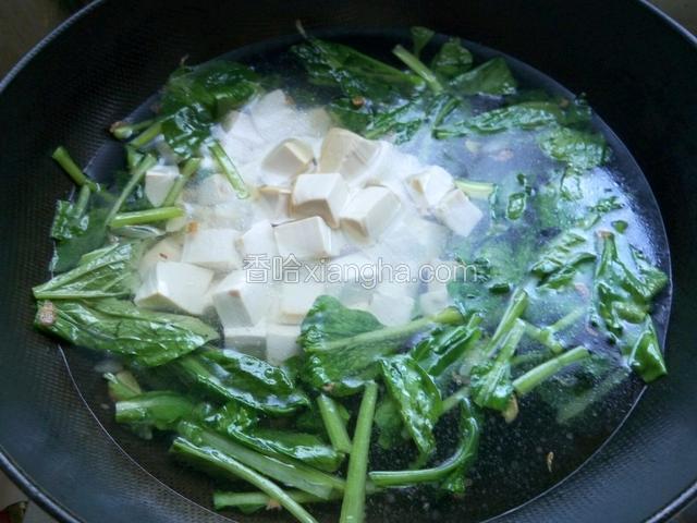 加入开水，倒入豆腐中火炖止菜熟透为止，放入盐，鸡粉，淋入少许香油出锅。