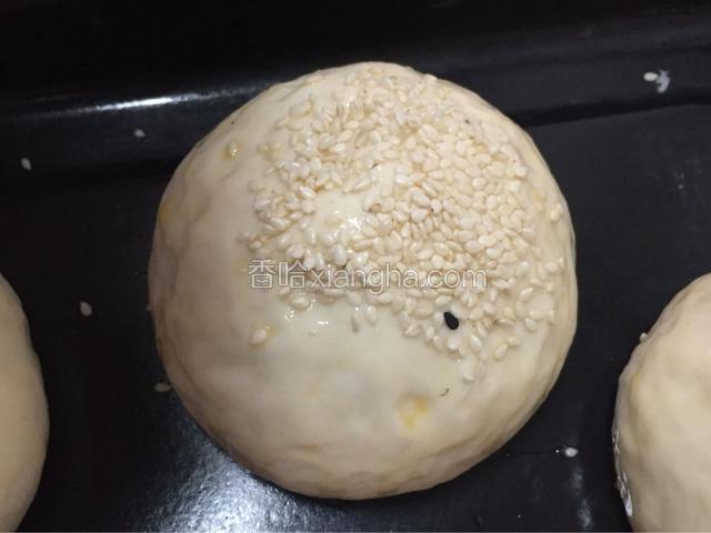 撒上芝麻