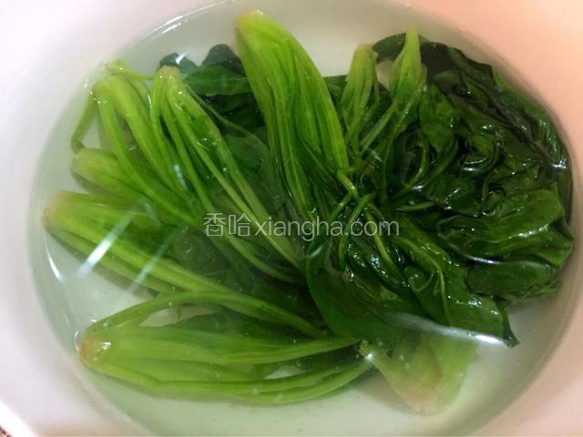 锅中烧水，水热加入菠菜焯熟（大约一分钟左右即可）过冷水沥干水分切段备用

