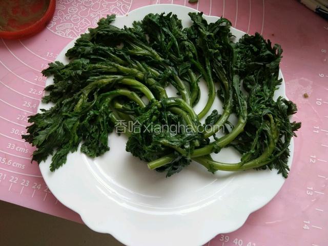 拔凉的茼蒿菜控水摆入盘中