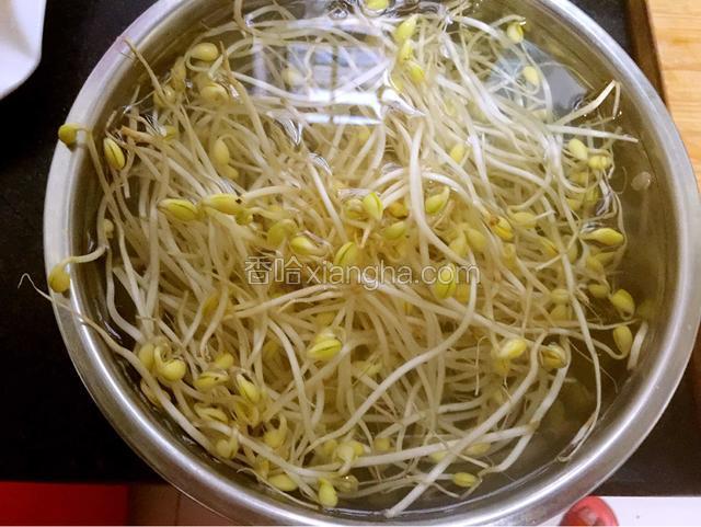 绿豆芽一斤