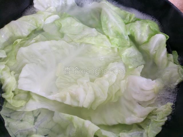 锅中烧开水焯制卷心菜，焯熟捞出加少许盐抓匀，并切丝。