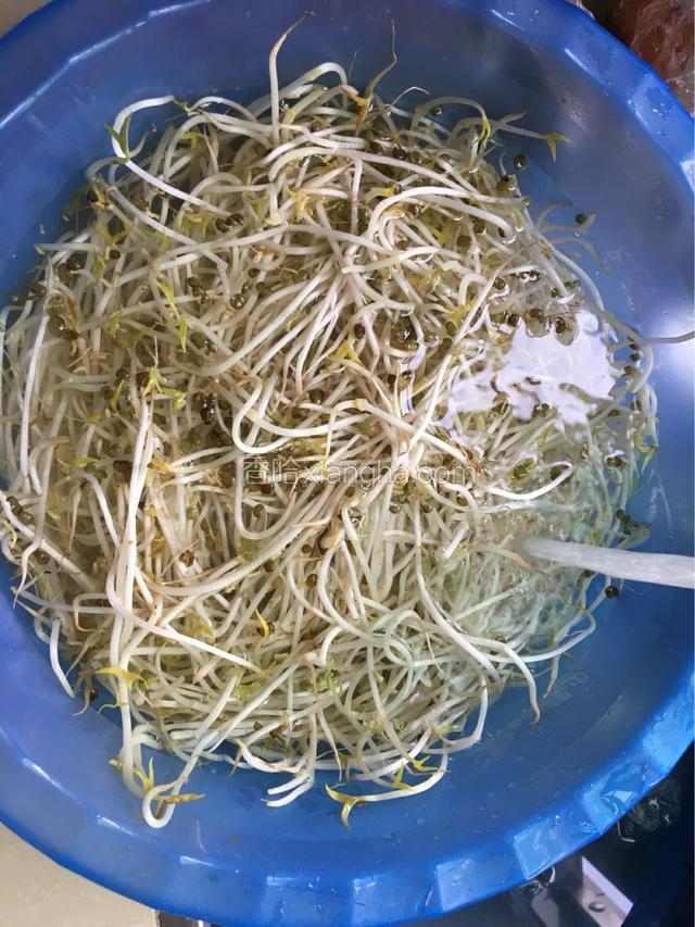 买回来的绿豆芽清洗干净