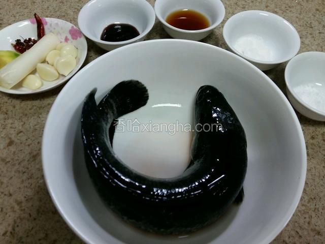 黑鱼去内脏，洗净控水备用，准备调味料。