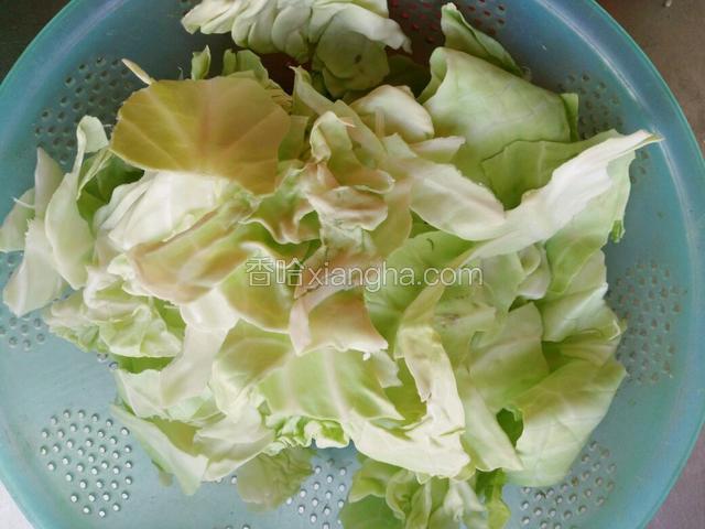 卷心菜洗净手撕成块