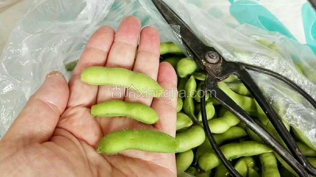 毛豆剪去两头，洗净备用。