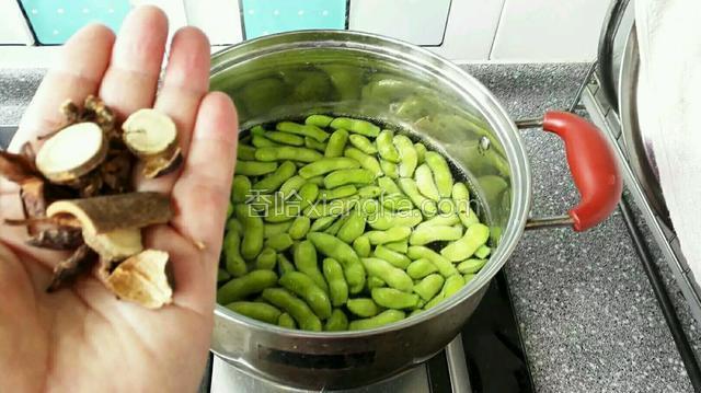 毛豆放入锅中，加适量水抹过为宜，添加八角，肉桂，甘草和盐。