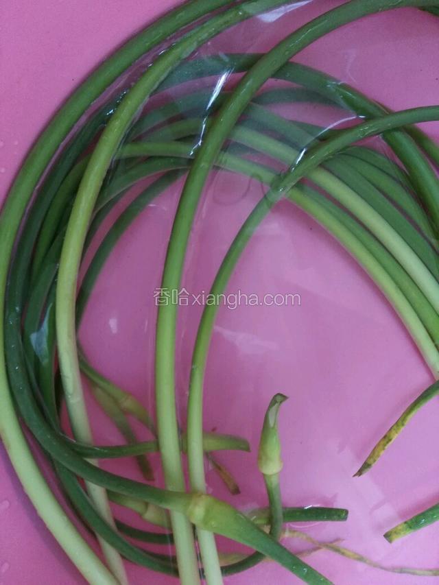 蒜苔洗干净
