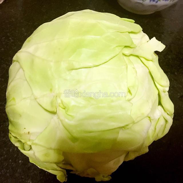 卷心菜一个