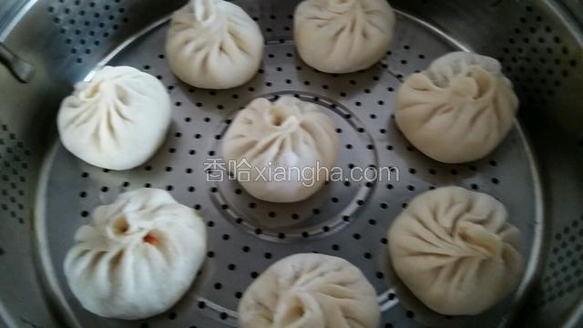 把锅里加温水包子装锅摆好盖上盖醒发20一30分钟之后开火烧开锅蒸制十分钟关火3-5分钟之后再开盖捡包子。