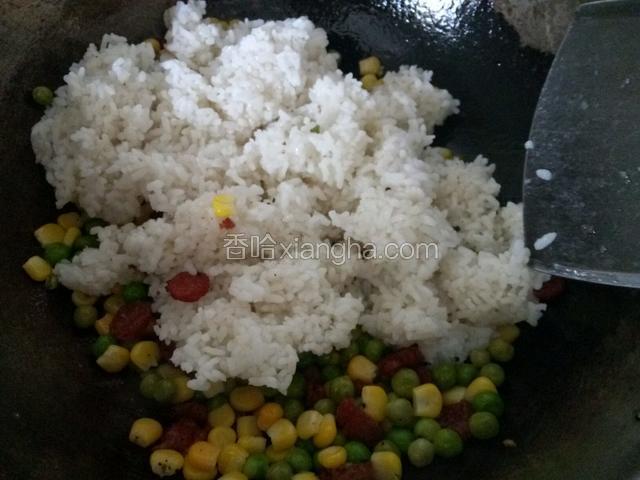 最后放入500g米饭炒匀。