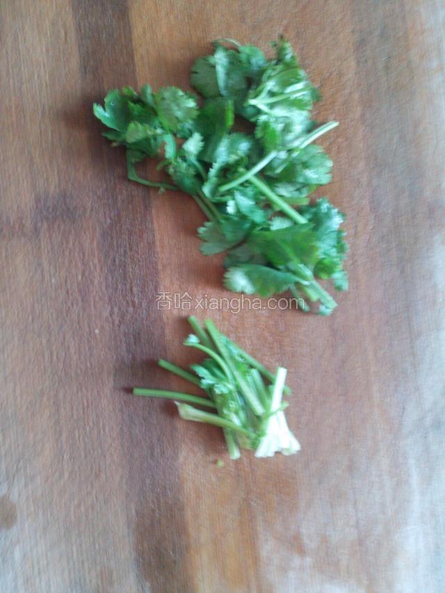 香菜洗净切小段。